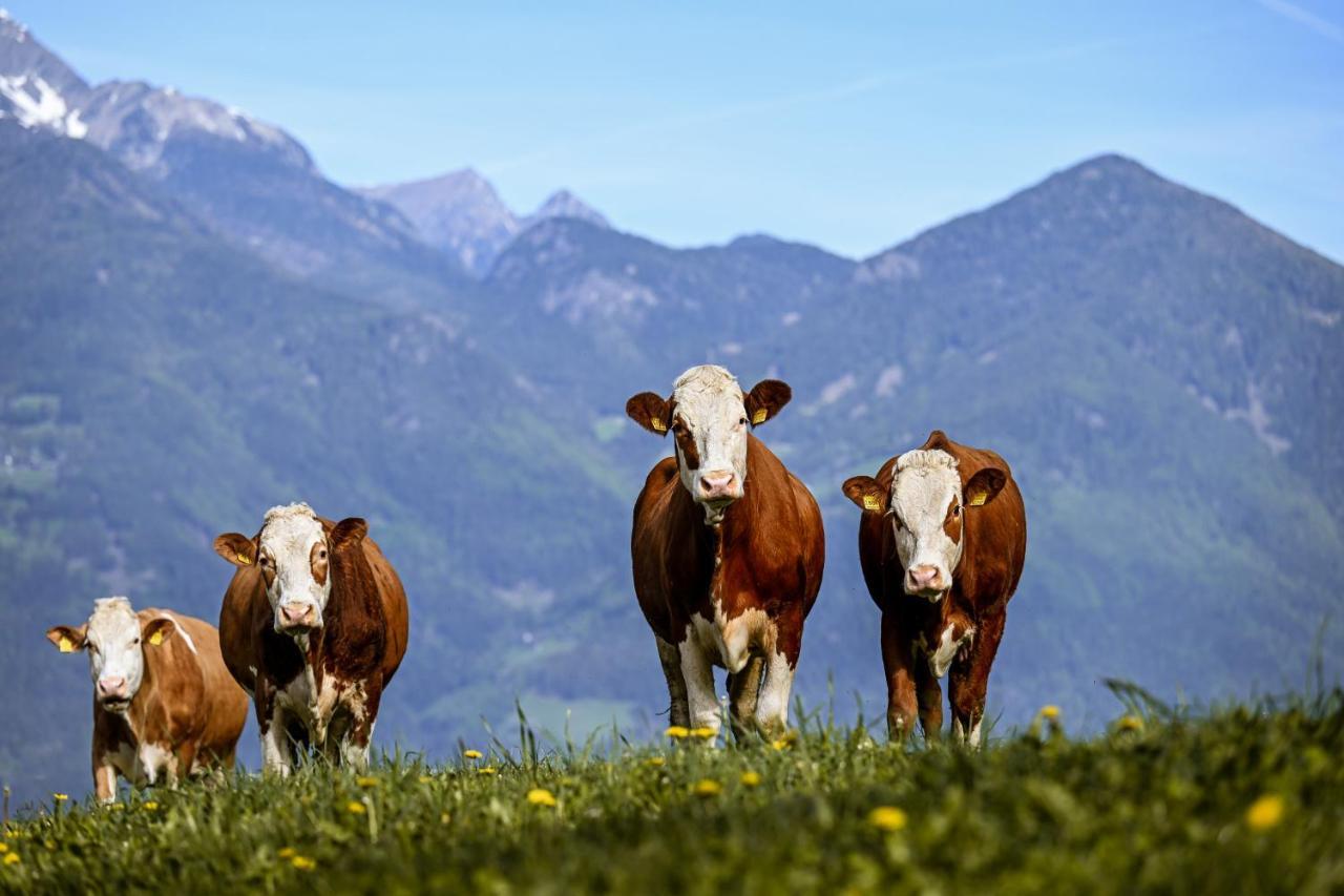 Kircherhof Brixen Buitenkant foto